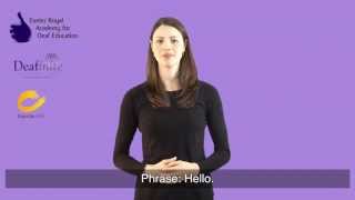 Learn Basic Greetings in British Sign Language BSL [upl. by Akiehsat]