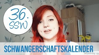 36 SSW Schwangerschaftstagebuch von Angelika [upl. by Oile]