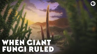 When Giant Fungi Ruled [upl. by Ohce]