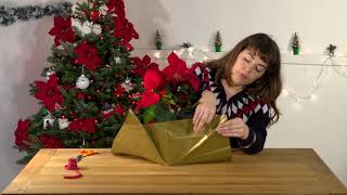 How to gift wrap a Christmas Poinsettia [upl. by Schechinger628]