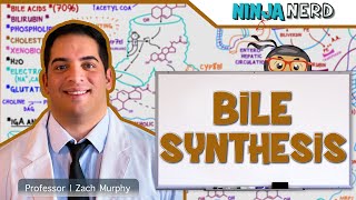 Gastrointestinal  Bile Synthesis [upl. by Mamoun63]