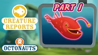 Octonauts  Creature Reports Part 1  Cartoons for Kids  Underwater Sea Education [upl. by Ryter]