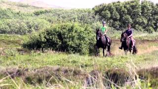 Puur Terschelling [upl. by Bastien]