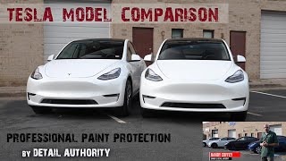 Tesla model Y  XPEL Ultimate Plus vs Xpel Stealth Paint Protection Comparison  by Detail Authority [upl. by Dorej]