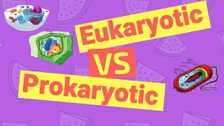 Difference Between Prokaryotic and Eukaryotic Cells [upl. by Leissam]