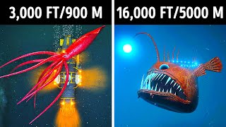 Fascinating 3D Journey to the Ocean Depths [upl. by Randal]