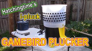 i  pluck GAMEBIRD PLUCKER  Demo [upl. by Dranyar99]