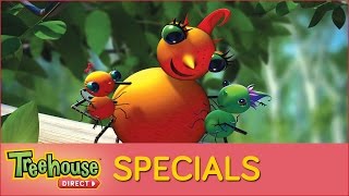 Miss Spiders Sunny Patch Kids  Special [upl. by Yci]