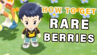 How to get RARE Berries ► Pokemon Brilliant Diamond  BDSP [upl. by Dulcea455]