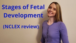 THE STAGES OF FETAL DEVELOPMENT  NCLEX REVIEW [upl. by Si]