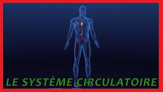 Le système circulatoire [upl. by Ponce55]