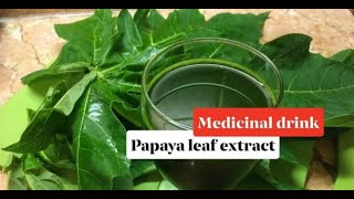 How to Make Papaya Leaf Juice Extract  PAPAYA LEAVES amp BENEFITS  DENGUE CURE [upl. by Haneekas]