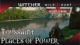 Toussaint Places of Power Locations  Witcher 3  Blood and Wine [upl. by Noland529]