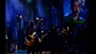 The Wallflowers  Heroes  Live 1998 [upl. by Ninel]