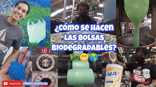 ¿Cómo se hacen las bolsas biodegradables ♻️😃 [upl. by Eladnwahs689]