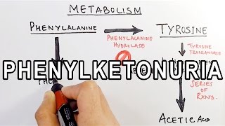 Phenylketonuria  Biochemistry amp Genetics [upl. by Aneele]