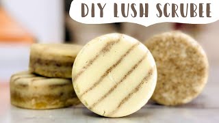 Make Your Own Lush Scrubee Bars [upl. by Qiratla821]