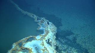 Discovering a Brine Pool  Nautilus Live [upl. by Amairam]