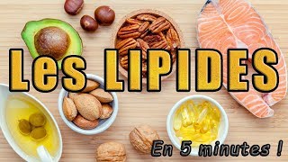 Les LIPIDES en 5 minutes [upl. by Gnen]