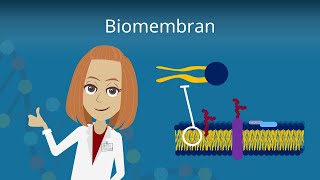 Biomembran  Aufbau und Funktion [upl. by Oirramed427]