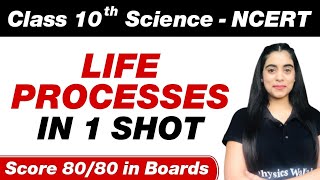 LIFE PROCESSES in One Shot  All Theory Covered  Class 10th Board Exam [upl. by Bazar168]