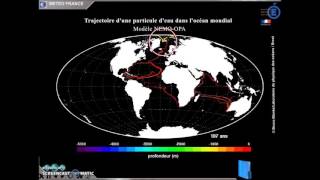 La circulation océanique [upl. by Kowtko]
