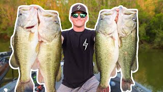 RECORD DAY OF BASS FISHING UNBELIEVABLE [upl. by Powell]