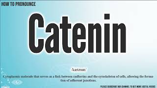 Catenin Pronunciation  How to Pronounce say Catenin CORRECTLY  Meaning Definition [upl. by Hooper719]