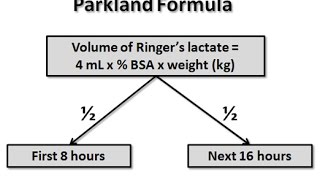 Parkland Formula for Burns [upl. by Arrais]