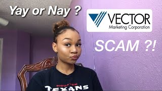 VECTOR MARKETING  CUTCO A SCAM [upl. by Romo]