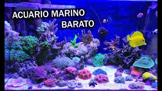 Acuario Marino Barato  Ep 01 [upl. by Anailli828]