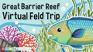 Great Barrier Reef – Virtual Feld Trip [upl. by Nyliram]