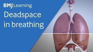 Basics of ventilation Deadspace in breathing [upl. by Jim280]