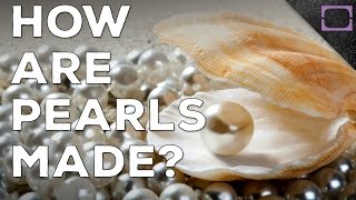 How Are Pearls Made [upl. by Rafat]