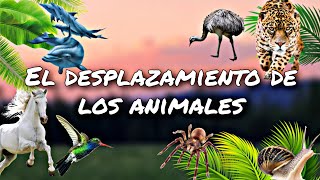 Desplazamiento de los animales [upl. by Itirp]