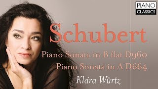 Schubert Piano Sonatas [upl. by Lemhar]