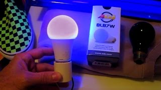 LED Blacklight Bulb REVIEW 7watt ADJ BLB7W Black Light ultraviolet UV [upl. by Danell]