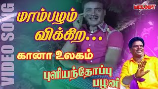 கானா பாடல்கள்  புளியந்தோப்பு பழனி Maambazham Vikkira  Gana Song Pullianthopu Palani  Gana Padal [upl. by Onid478]