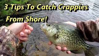 3 Crappie Fishing Tips Guaranteed To Catch Crappies From Shore [upl. by Aisaim]