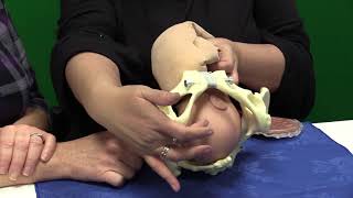 Labor amp Birth Class 01  What to Expect [upl. by Ravahs]