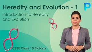 Introduction to Heredity and Evolution [upl. by Bilac]