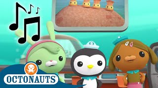 Octonauts  Activate Creature Reports  Songs  Cartoons for Kids  Underwater Sea Education [upl. by Ajuna]