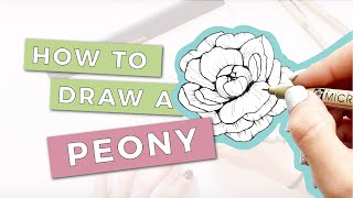 HOW TO DRAW A PEONY FLOWER StepByStep Tutorial [upl. by Ylla]