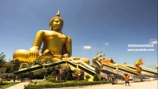 Largest Buddha statues in the world top 10 [upl. by Alidis]