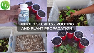 Secret Plant Cuttings Propagation Tips No One Will Tell You [upl. by Alleras744]