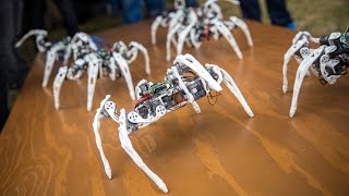 Robot Spiders Controlled by Intels Edison Chip [upl. by Behl]