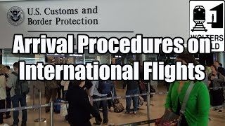 What is the Arrival Procedure on an International Flight [upl. by Ashatan]