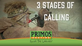 Randy Andersons 3 Stages of Calling in Coyotes [upl. by Pleasant]