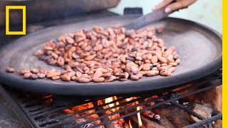 Watch the Ancient Art of ChocolateMaking  National Geographic [upl. by Ephrem]