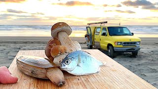 COASTAL SURVIVAL Fishing Clams WILD MUSHROOMS Catch amp Cook [upl. by Borg]